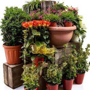 Kindle Store Best Seller: Canadian Gardening & Horticulture Guide-0
