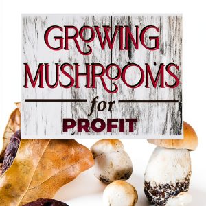 Gardening eBook for Kindle - English, Unlimited Devices-0