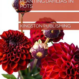 Growing Potted Flowers: A Beginner's Guide to Gardening-0