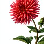 Little Book of Natural Wonders: Perennial Gardening Guide by Sasquatch-0