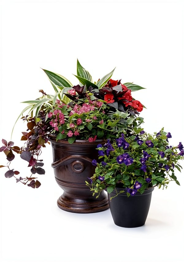 Container Gardening for Beginners: A Comprehensive Guide-0