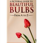 Bulb Flower Gardening Guide by Walla2 Publishing-0