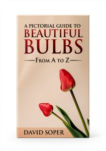 Bulb Flower Gardening Guide by Walla2 Publishing-0