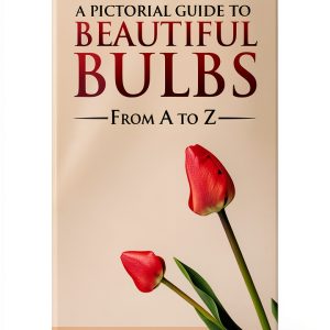 Bulb Flower Gardening Guide by Walla2 Publishing-0