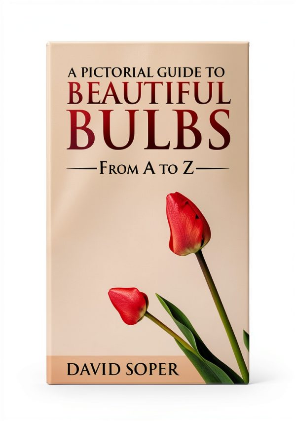 Bulb Flower Gardening Guide by Walla2 Publishing-0