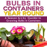 The Weekend Gardener: A 7-Part Series by Amazon Kindle-0