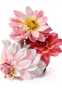 Growing Flowers & Vegetables in Pots: A Beginner's Guide-0
