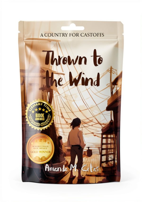 A Country for Castoffs Kindle eBook Windy Sea Historical Fiction Kids-0
